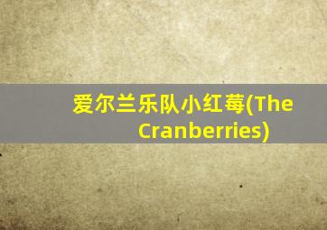 爱尔兰乐队小红莓(The Cranberries)